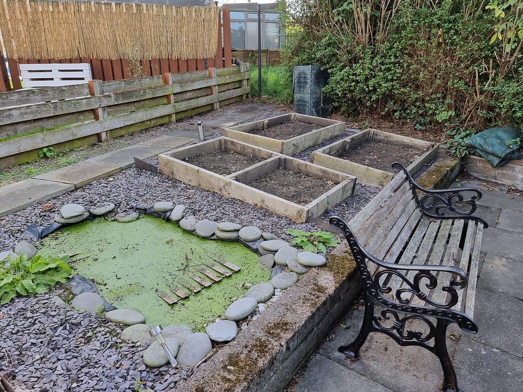 JMW Properties Elizabeth Street - Rear Garden